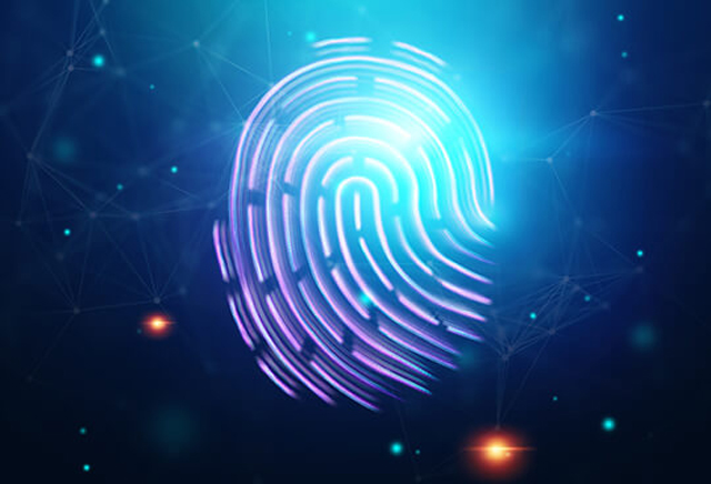 KVKK Danışmanlığı